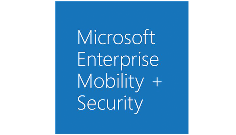 Microsoft Enterprise Security Logo